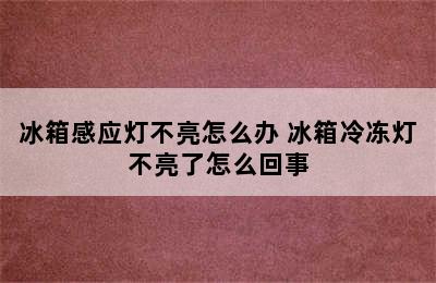 冰箱感应灯不亮怎么办 冰箱冷冻灯不亮了怎么回事